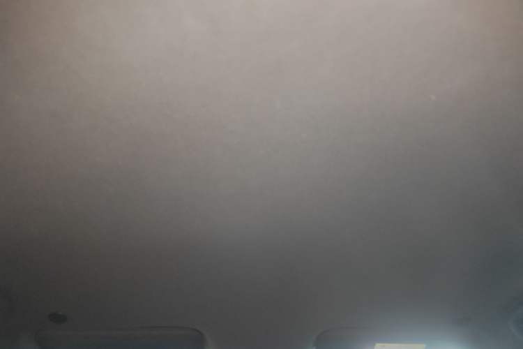 Used BYD Dolphin 2024 Honor Edition 420km Freedom Version Headliner