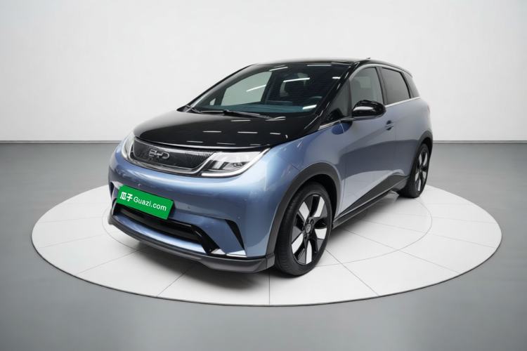 BYD Dolphin 2024 Honor Edition 401km Knight Edition