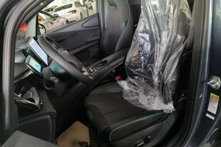 Used BYD Dolphin 2024 Honor Edition 401km Knight Edition Left Front Seat