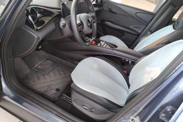 Used BYD Dolphin 2024 Honor Edition 420km Freedom Version Left Front Seat