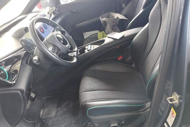 Used BYD Dolphin 2024 Honor Edition 420km Fashion Version Left Front Seat