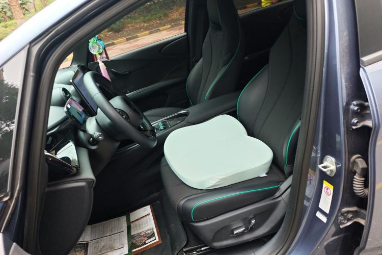 Used BYD Dolphin 2024 Honor Edition 420km Fashion Version Left Front Seat