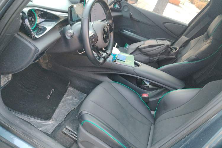 Used BYD Dolphin 2024 Honor Edition 420km Fashion Version Left Front Seat