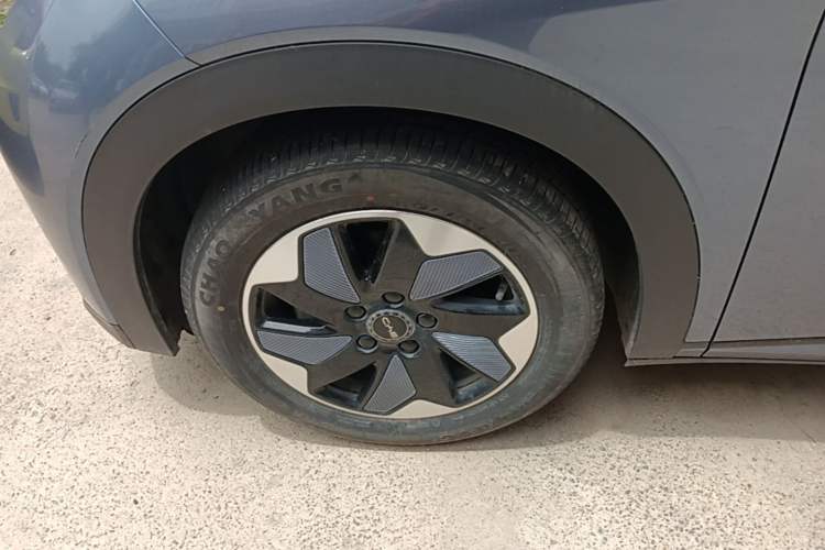 Used BYD Dolphin 2024 Honor Edition 420km Freedom Version Left Front Wheel Hub