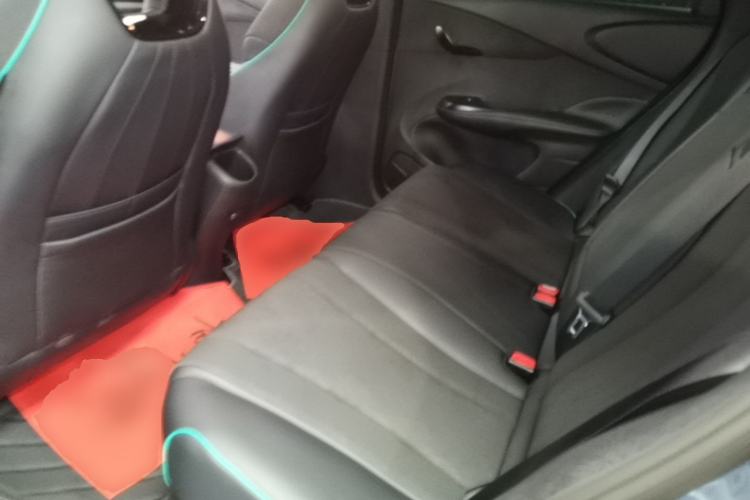 Used BYD Dolphin 2024 Honor Edition 420km Fashion Version Left Rear Seat
