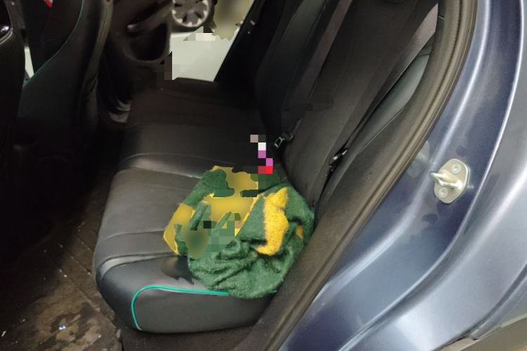 Used BYD Dolphin 2024 Honor Edition 420km Freedom Version Left Rear Seat