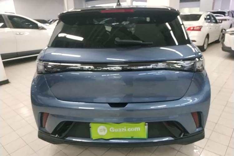 Used BYD Dolphin 2024 Honor Edition 401km Knight Edition Rear