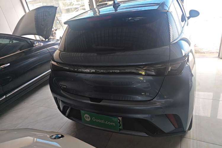 Used BYD Dolphin 2024 Honor Edition 420km Fashion Version Rear