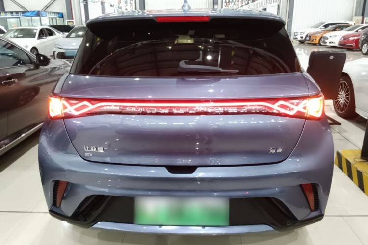 Used BYD Dolphin 2024 Honor Edition 420km Fashion Version Rear