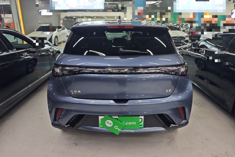 Used BYD Dolphin 2024 Honor Edition 420km Fashion Version Rear