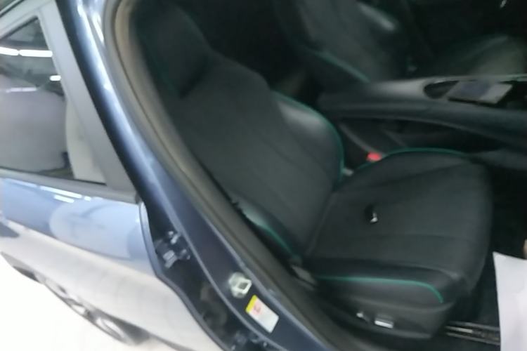 Used BYD Dolphin 2024 Honor Edition 401km Knight Edition Right Front Seat