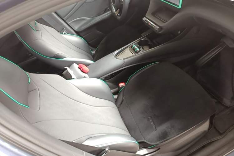 Used BYD Dolphin 2024 Honor Edition 420km Freedom Version Right Front Seat