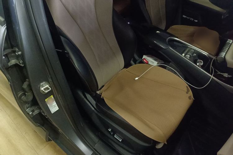 Used BYD Dolphin 2024 Honor Edition 420km Fashion Version Right Front Seat
