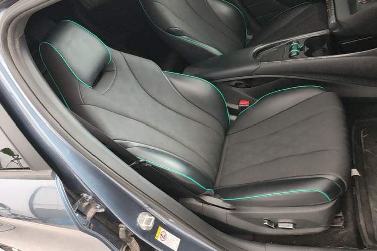 Used BYD Dolphin 2024 Honor Edition 420km Fashion Version Right Front Seat