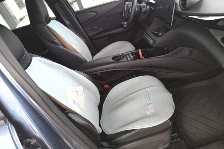 Used BYD Dolphin 2024 Honor Edition 420km Freedom Version Right Front Seat