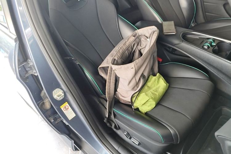 Used BYD Dolphin 2024 Honor Edition 420km Fashion Version Right Front Seat