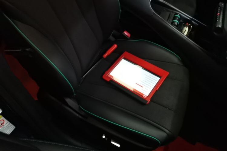 Used BYD Dolphin 2024 Honor Edition 420km Fashion Version Right Front Seat