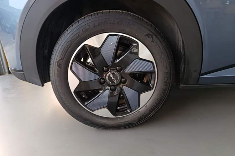 Used BYD Dolphin 2024 Honor Edition 420km Freedom Version Right Rear Wheel Hub