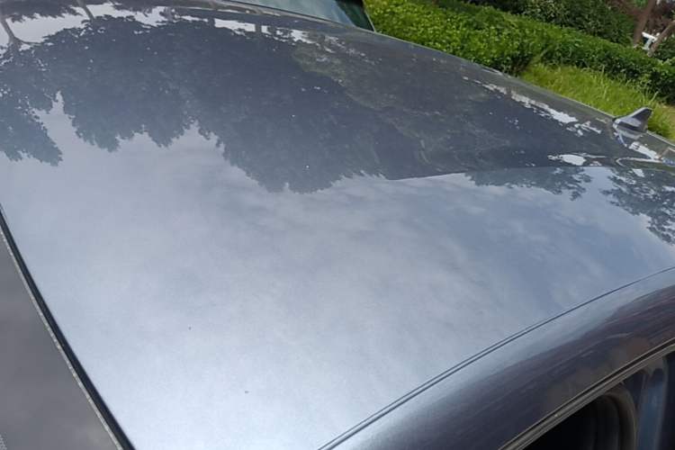 Used BYD Dolphin 2024 Honor Edition 420km Freedom Version Roof