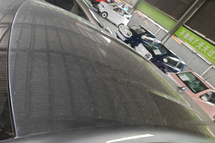 Used BYD Dolphin 2024 Honor Edition 420km Freedom Version Roof
