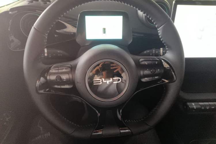 Used BYD Dolphin 2024 Honor Edition 401km Knight Edition Steering Wheel
