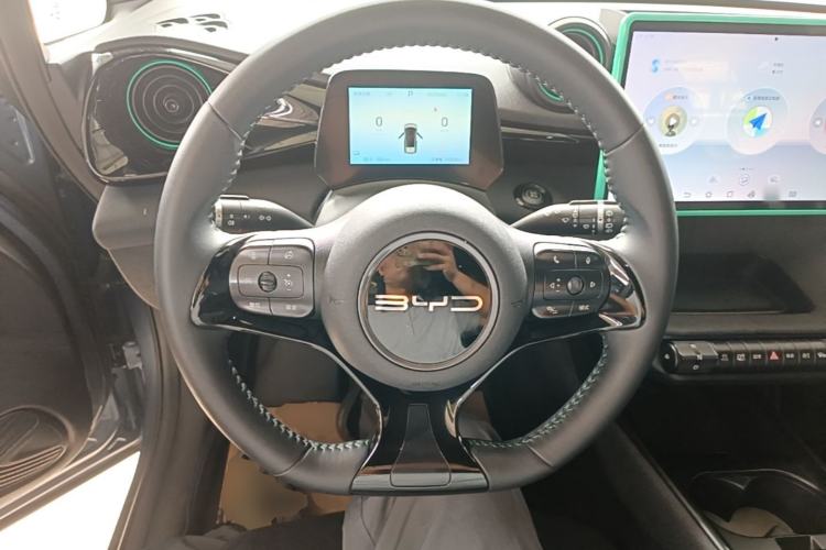 Used BYD Dolphin 2024 Honor Edition 420km Freedom Version Steering Wheel