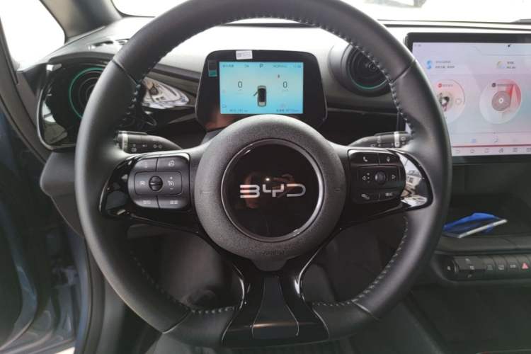 Used BYD Dolphin 2024 Honor Edition 420km Freedom Version Steering Wheel