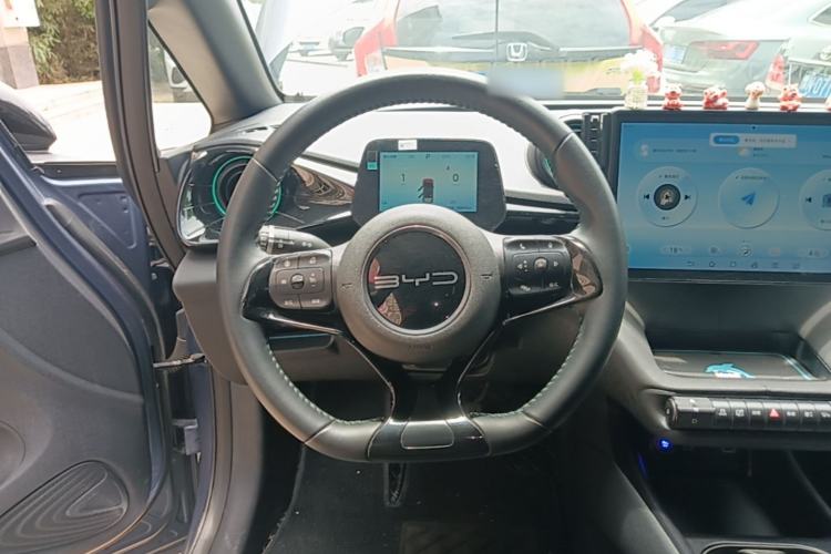 Used BYD Dolphin 2024 Honor Edition 420km Freedom Version Steering Wheel