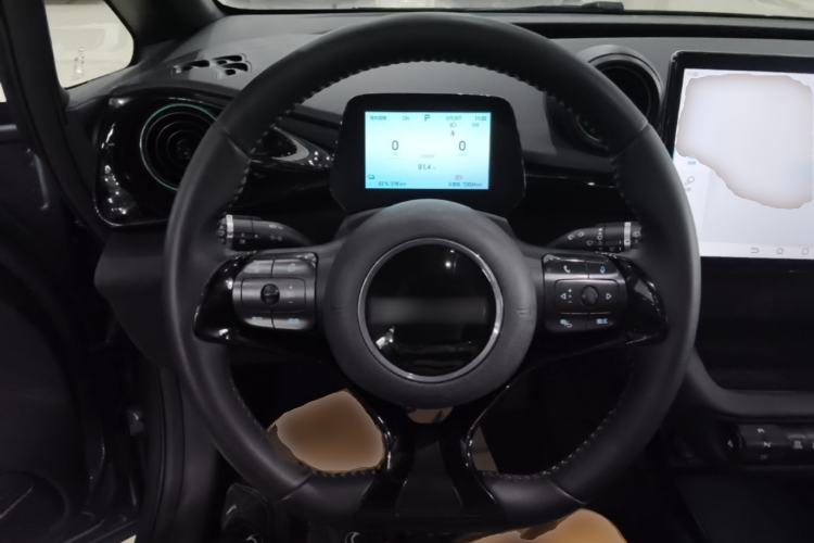 Used BYD Dolphin 2024 Honor Edition 420km Fashion Version Steering Wheel