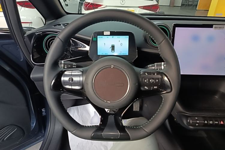 Used BYD Dolphin 2024 Honor Edition 420km Freedom Version Steering Wheel