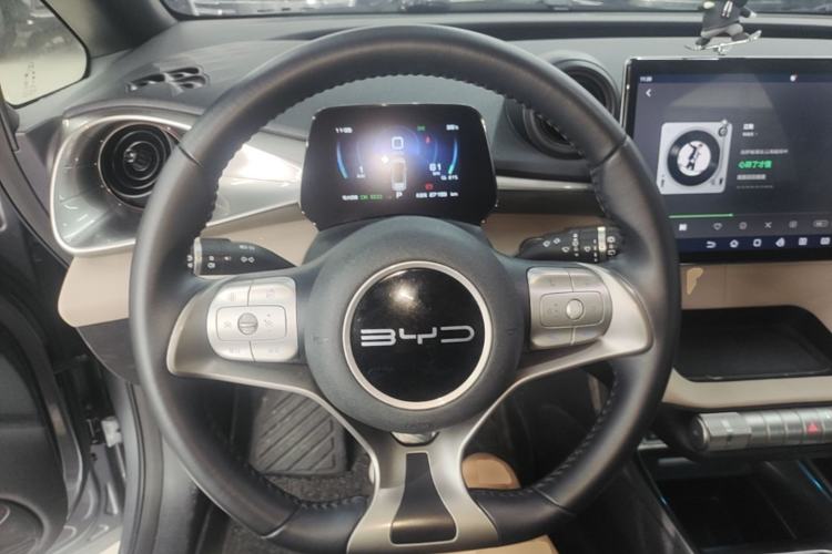 Used BYD Dolphin 2024 Honor Edition 420km Freedom Version Steering Wheel