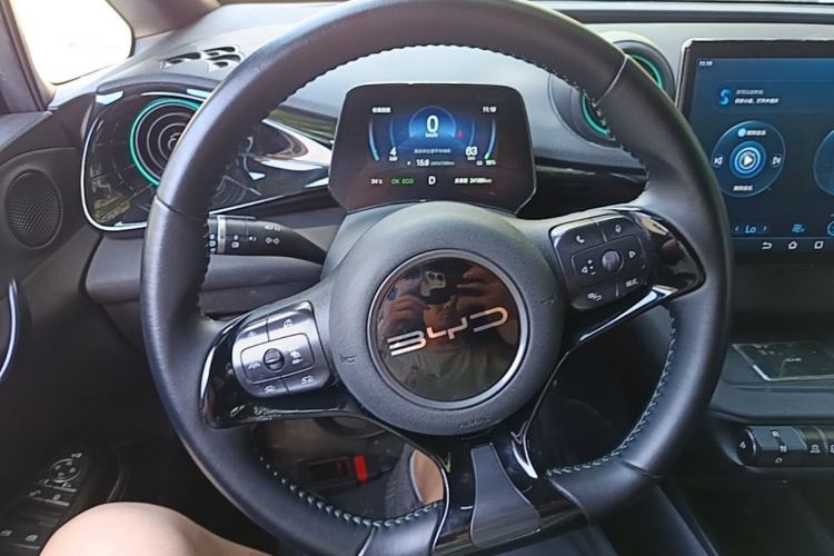 Used BYD Dolphin 2024 Honor Edition 401km Knight Edition Steering Wheel