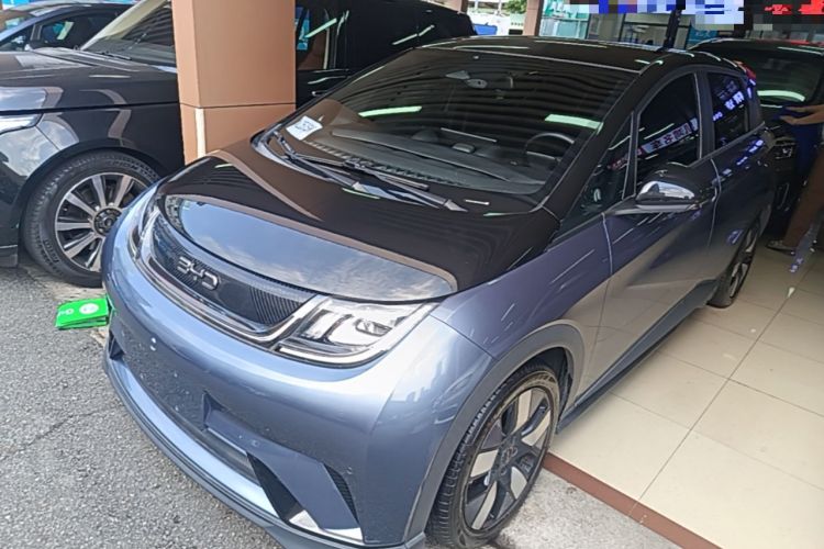 BYD Dolphin 2024 Honor Edition 401km Knight Edition