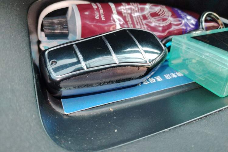 Used BYD Dolphin 2024 Honor Edition 420km Fashion Version Vehicle Key