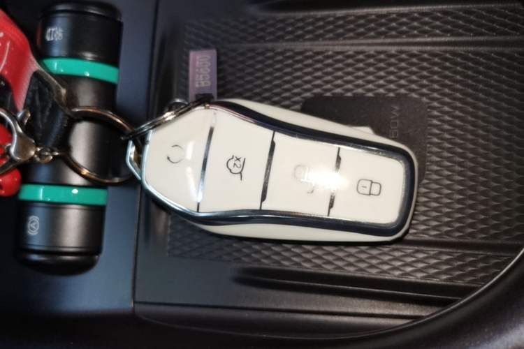 Used BYD Dolphin 2024 Honor Edition 420km Fashion Version Vehicle Key