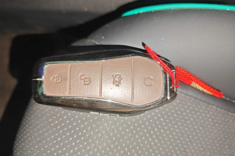 Used BYD Dolphin 2024 Honor Edition 420km Freedom Version Vehicle Key