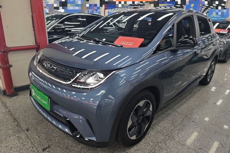 BYD Dolphin 2024 Honor Edition 420km Freedom Version