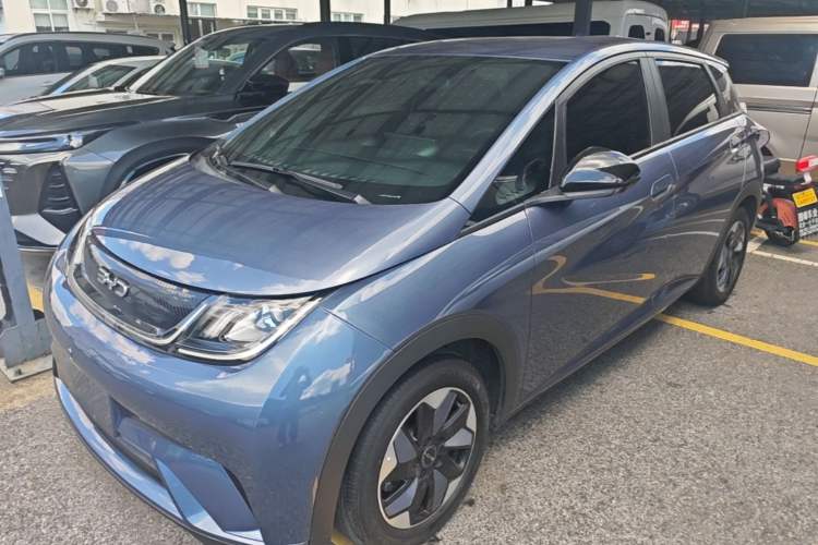 BYD Dolphin 2024 Honor Edition 420km Freedom Version