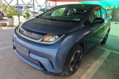 Used BYD Dolphin 2024 Honor Edition 420km Fashion Version