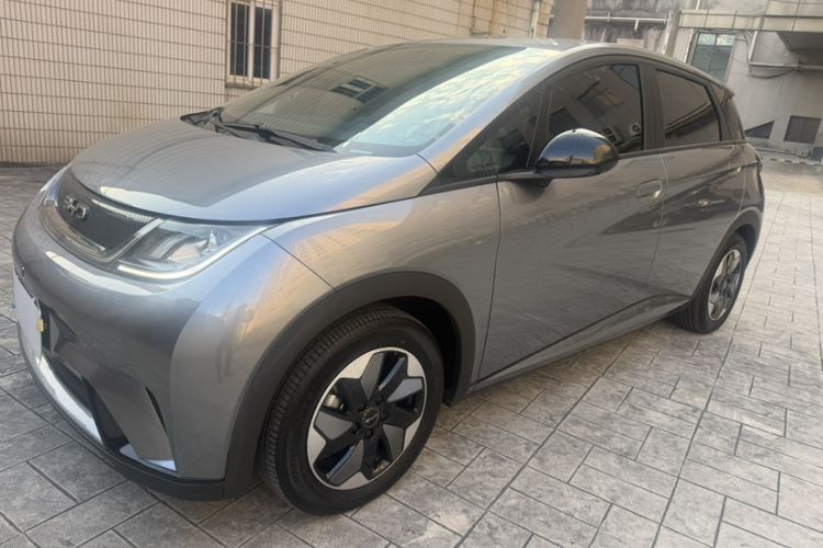 BYD Dolphin 2024 Honor Edition 420km Freedom Version