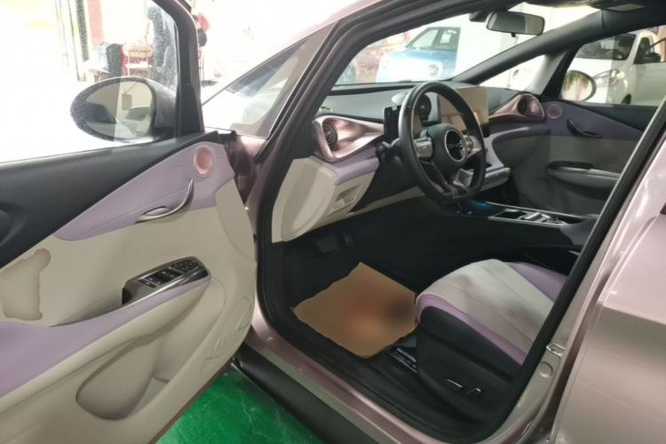 Used BYD Dolphin 2024 Honor Edition 420km Fashion Version Driver Seat