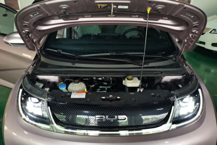 Used BYD Dolphin 2024 Honor Edition 420km Fashion Version Engine Bay