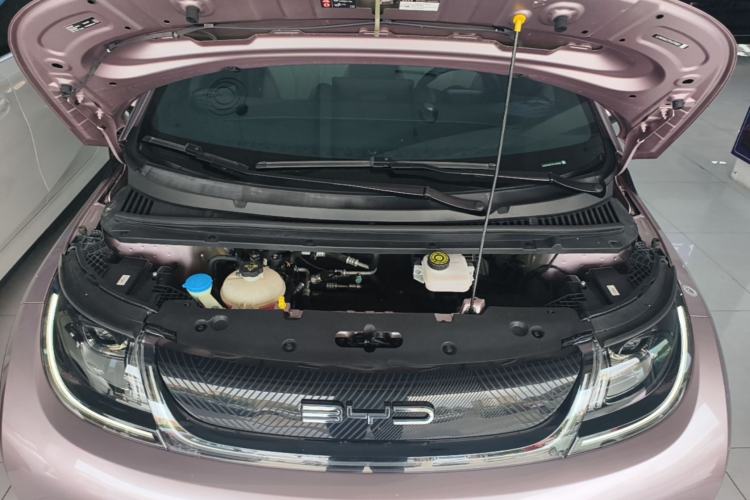 Used BYD Dolphin 2024 Honor Edition 420km Fashion Version Engine Bay