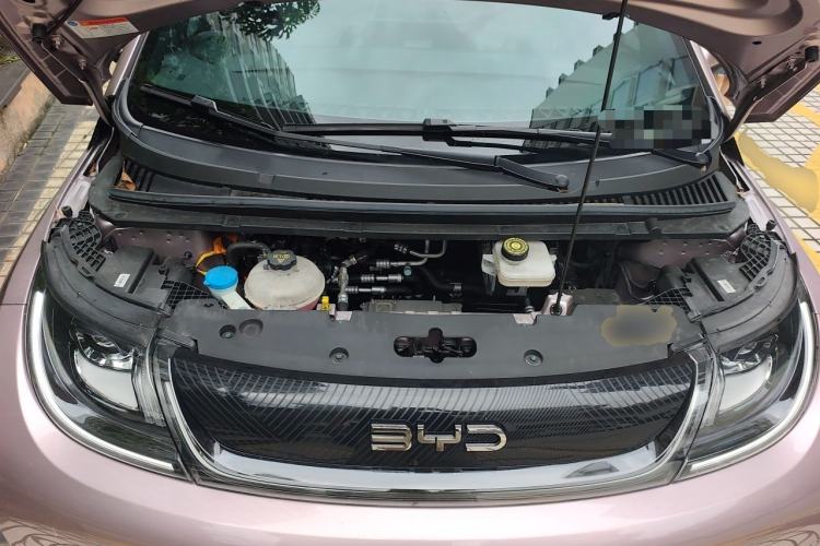 Used BYD Dolphin 2024 Honor Edition 420km Fashion Version Engine Bay