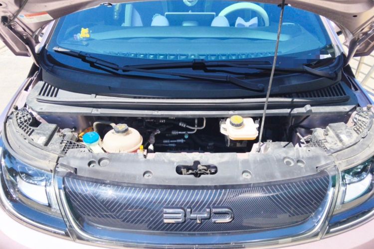 Used BYD Dolphin 2024 Honor Edition 420km Fashion Version Engine Bay