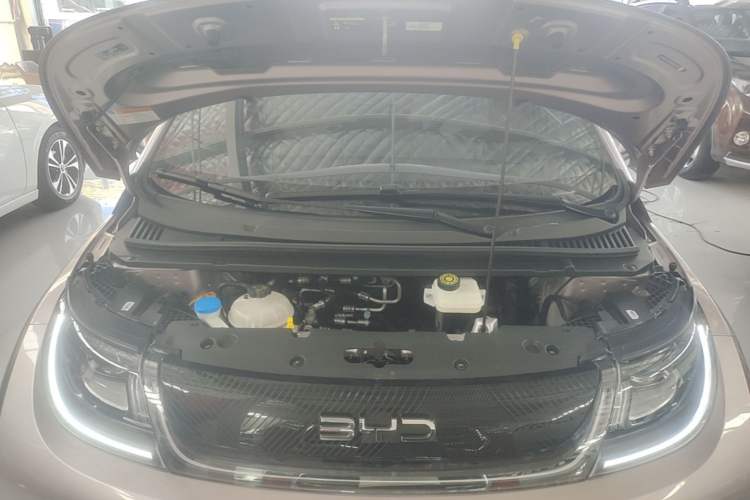 Used BYD Dolphin 2024 Honor Edition 420km Fashion Version Engine Bay