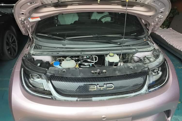 Used BYD Dolphin 2024 Honor Edition 420km Fashion Version Engine Bay