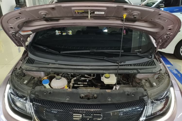 Used BYD Dolphin 2024 Honor Edition 420km Fashion Version Engine Bay
