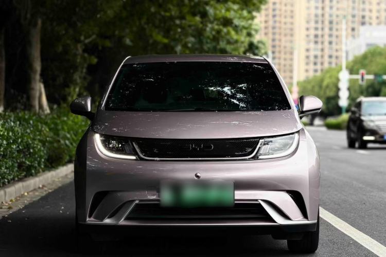 Used BYD Dolphin 2024 Honor Edition 420km Freedom Version Exterior 5