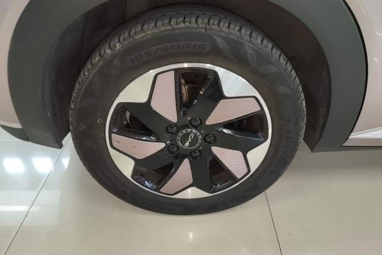 Used BYD Dolphin 2024 Honor Edition 420km Fashion Version Exterior 5
